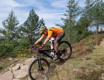 Mountain Bike Trail Downhill