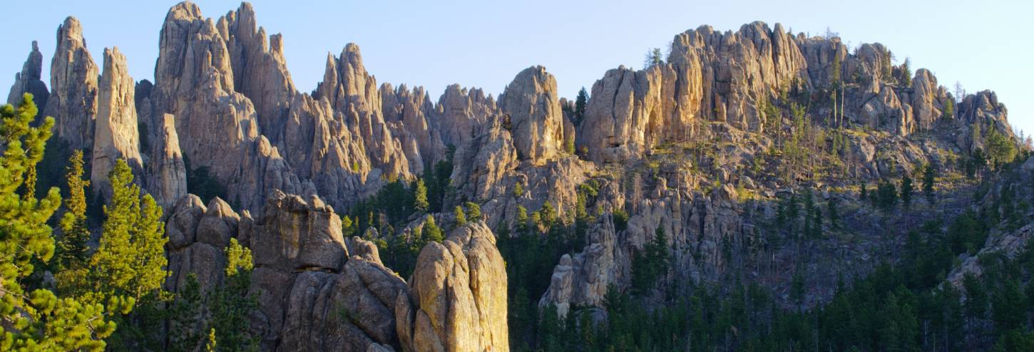 Needles Highway Cathedral Spires