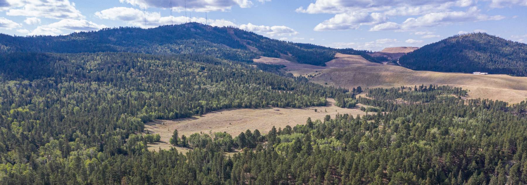 Terry Peak Black Hills Mountain View