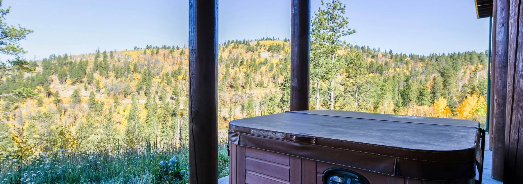 Hot Tub, fall, view, pine trees